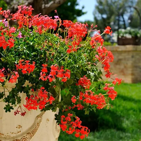 ホテル San Giovanni Relais 4*