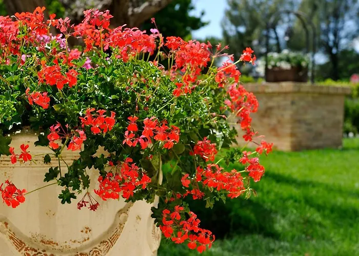 Hotel San Giovanni Relais 4*